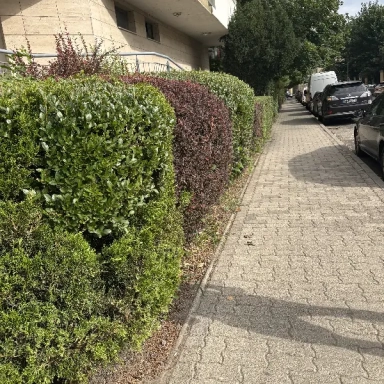 Gardening
