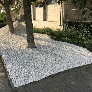 Gardening